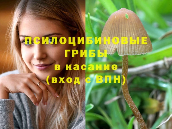 спайс Вяземский